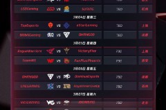 【入围赛看点】入围赛阶段，你最关注哪支外卡赛区队伍的表现？